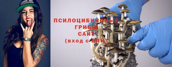 спиды Алексин