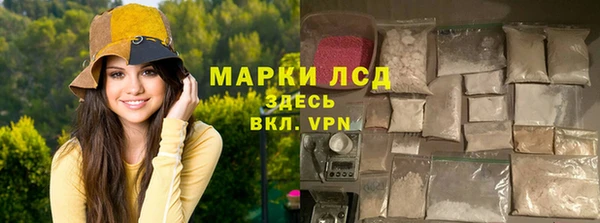 крисы Абаза