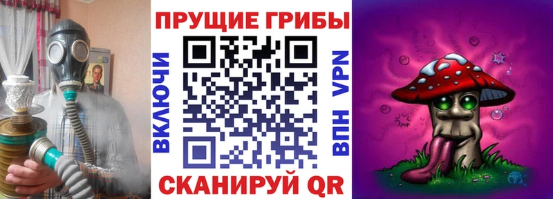 omg ССЫЛКА Юхнов Псилоцибиновые грибы Psilocybe